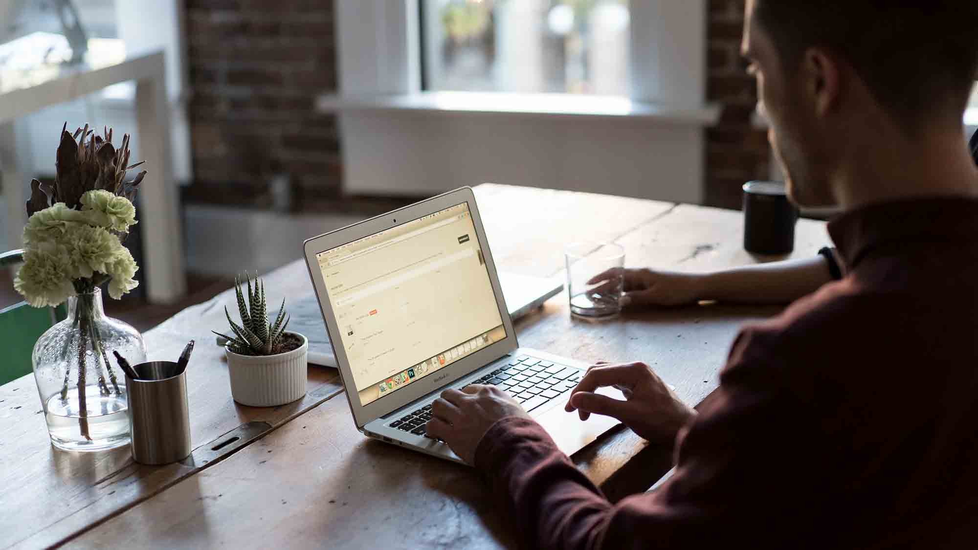 Eine Person arbeitet an einem Laptop an einem Holztisch in einem gut beleuchteten Raum mit großen Fenstern. Auf dem Tisch stehen Topfpflanzen, ein Metallbecher mit Stiften und ein Glas Wasser. Eine andere Person sitzt ihnen gegenüber, teilweise sichtbar.